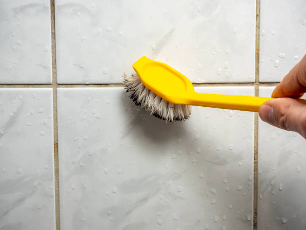 Best Attic Mold Removal  in Dayton, NJ
