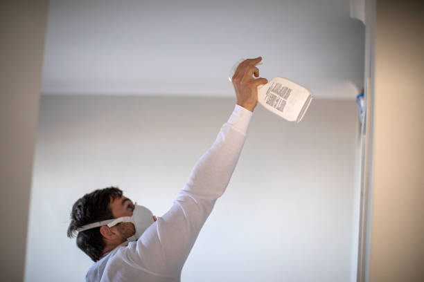 Best Emergency Mold Removal  in Dayton, NJ