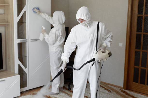 Mold Testing and Removal in Dayton, NJ